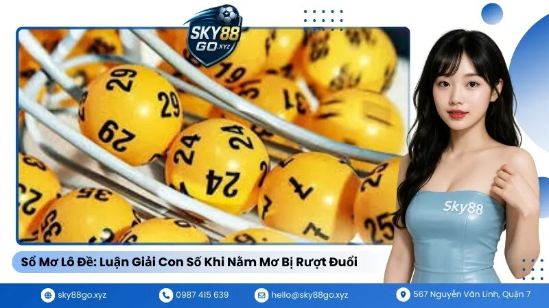 Sổ Mơ Lô Đề Luận Giải Con Số Khi Nằm Mơ Bị Rượt Đuổi